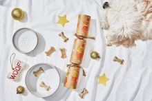 Load image into Gallery viewer, DIY - Christmas Dog, Pack of 1 | Bonbon Cracker