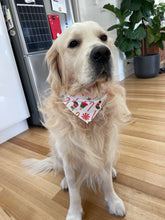 Load image into Gallery viewer, DIY - Christmas Dog, Pack of 1 | Bonbon Cracker