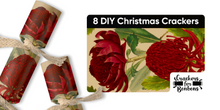 Load image into Gallery viewer, DIY - Eco Waratah, Pack of 8 | Bonbon Crackers
