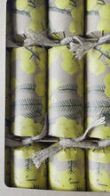 Load and play video in Gallery viewer, Eco-Friendly, Wattle 12", Box of 8 | Bonbon Crackers
